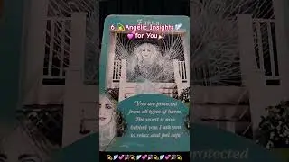 6️⃣ Angelic Insights for You🙏 Messages from Your Angels 🎉 Oracle Card #Reading journey love💕 light 💫