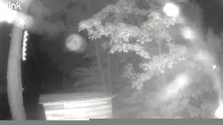 ROD SHOOTS UP SPIDER WEB KEEPS camera on 1/8 speed raw footage of skyfish or rods in the adirondacks
