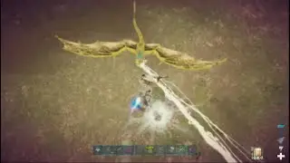 Chasing 714s Like My Dreams|Ark Official Small Tribes|Ps5 Ps4|PvP|