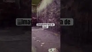 &iquest;BUCEAR&Iacute;AS ES ESTA PILETA? 🤿 #bodegabrujerias