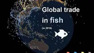 Global trade flows in fish 🐟