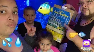 #fishtank #fishtankwaterchange    How to do a water change on a aquarium (* 90 gallons*)