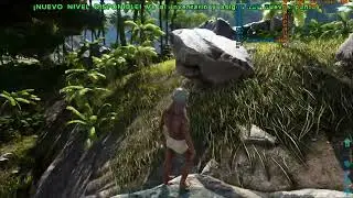 Ark Survival Evolved // Xeon E3 1265L V3 // RX 580 // 16GB RAM // 1440P // 60 FPS