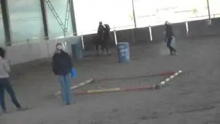 Roca Camilla 1° class NOVICE JUNIOR