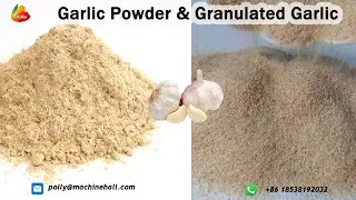 Granulated Garlic & Garlic Powder Making Factory  #garlic #garlicpowder #granulatedgarlic