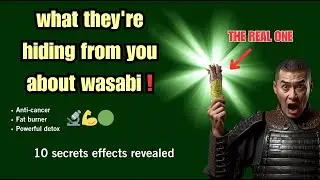 🔥What they're hiding from you about wasabi!🍱
