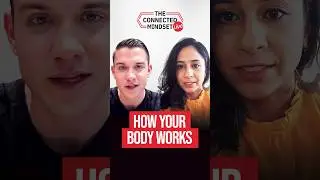 How Your Body Works | Greg Tomchick | The Connected Mindset