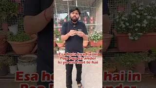 How Pop Pop Crackers Work 💥 | Diwali के पटाखे 🔥#science #experiment #chemistry #esaral #shorts