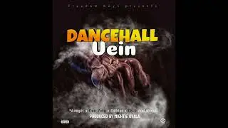 DANCEHALL VEIN PROBY MIGHTIE (Stanger &times;Don Zulu &times; os b &times; I conic &times; debtor )         