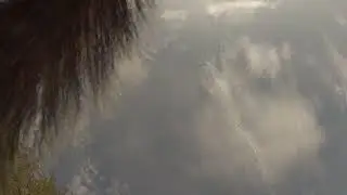 Squirrel Launcher Basket POV #squirrel #catapult #launcher launcher