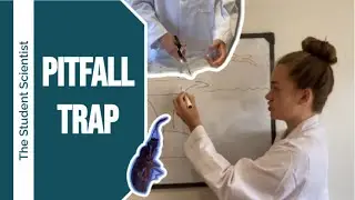 Pitfall trap
