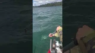 gotta love the net job #idahofishing