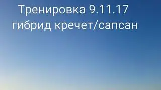 Тренировка 9.11.17 гибрид кречет/ сапсан