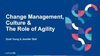 Change Management, Culture, and The Role of Agility