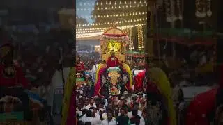 Mysore Dasara ambari Best moment of world#dasara #mysore #ambari #palace