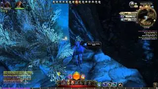Neverwinter - Vellosk - The Gray Wolf Den Scrying Stone (PC)