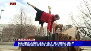 Gladius The Show - 2018 Rocky Mountain Horse Expo
