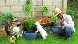 Amazing Ideas - Make Beautiful Waterfall Easy From Cement - For Your Garden & Zoo