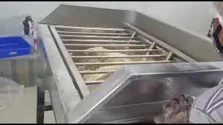 Allahabad  Pasta  plant