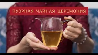 Мастер Чая ● Пуэрная чайная церемония, Шен-Пуэр 2013 г, Гушу, Линцзан