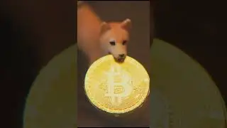 &iquest;Cu&aacute;nto tiempo se tarda en minar un Dogecoin?