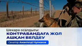 Контрабанда қаупі мен шекара осалдығы: Амангелді Нұғманов шекара белдеуін қайта қарауды ұсынды