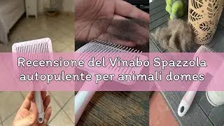 Recensione del Vinabo Spazzola autopulente per animali domestici, spazzola per pelo lungo e corto, p