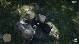 A Secret Money Vault Nobody Knows About in RDR 2! 💰 | Red Dead Redemption 2