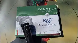 B&P Magnum Turkey 3 дюйма, 2 унции, тест образца №6 с ударами .655 и Remington 11-87