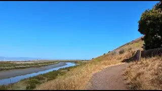 Bay Breeze & Bike Rides: A Chill 50-Mile Journey
