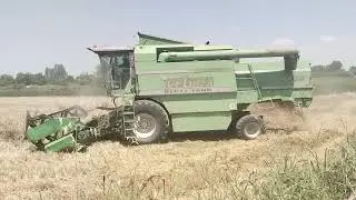 DEUTZ-FAHR 4075 HTS-αλωνισμα σιταριού 2025