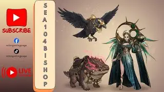 NIGHT CROWS BEST STREAMER COUPON [006]