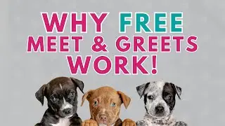Why Pet Biz Meet & Greets Should Be FREE | Pet Business Tips | Episode 57