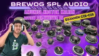 AMUNISI NROTOK KALIAN 😎DIJAMIN CIS-CISS !! REVIEW TWEETER SPL AUDIO || BREWOG SPL AUDIO