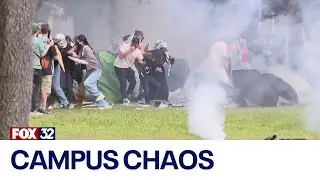 Chaos erupts as college campus protesters across US arrested