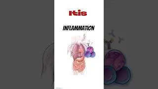 Inflammation of organs||suffix| itis #itis #inflammation #suffix #pathology#diseases#medicalstudent