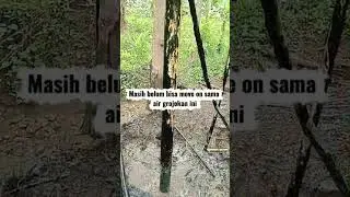 Masya Allah ..... Air luapan sumur bor dengan kedalaman 80 m, air naik sendiri tanpa disibel