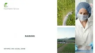 Food Safety Services in Innisfail Mareeba Australia