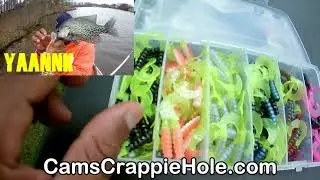 💥💥CRAPPIE FISHING 3 IN 1 KIT NEVER LEAVE HOME WITHOUT THIS FREE SHIPPING!!💥💥