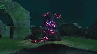 i7 3770 + RTX 3060 Lossless Scaling Adaptive FG (165), Zelda: Breath of the Wild
