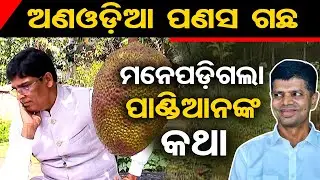 ଅଣଓଡ଼ିଆ ପଣସ ଗଛ... ମନେପଡ଼ିଗଲା ପାଣ୍ଡିଆନଙ୍କ କଥା | Odisha Reporter