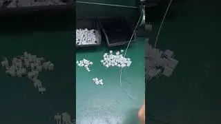 Check out this cool PCB Assembly Manufacturer in action! #shorts #robot #cnc