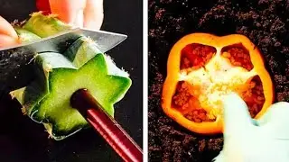 CÁCH TỰ TRỒNG CÂY || 28 MẸO LÀM VƯỜN DỄ ĐẾN MỨC KHÔNG THỂ TIN ĐƯỢC
