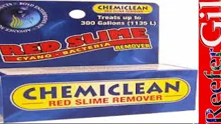 How To Treat Cyanobacteria Using ChemiClean