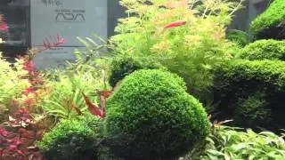 Illumagic cob120 for 120cm