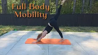 12 MIN FULL BODY DAILY STRETCH - Improve Mobility and Flexibility