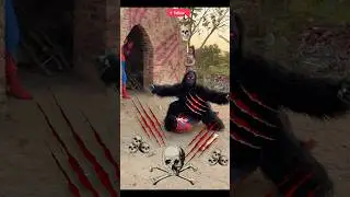 fierce kong attack spider man