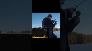 С помощью своего подледного снаряжения Lowrance Active Target я обнаружил стаю крупных окуней на ...