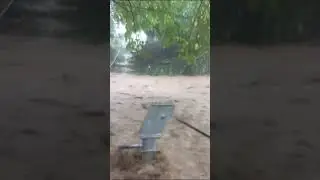 Himachal flood #warning #flood #himachal #shorts #viralvideo