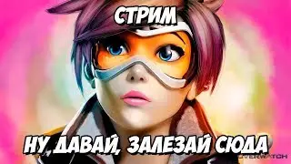 САМЫЙ ЛУЧШИЙ СТРИМ! Like + Sub (donationalerts.ru/r/championegor - Пишите сюда)